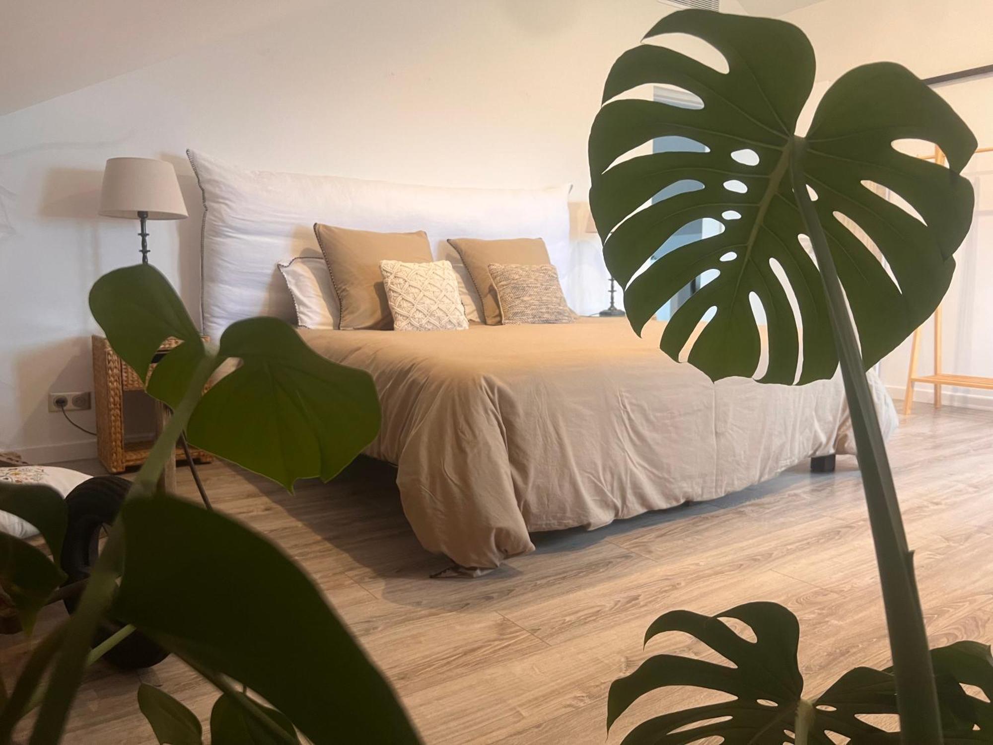 Au Pre De Karine Bed & Breakfast Cuneges Eksteriør bilde